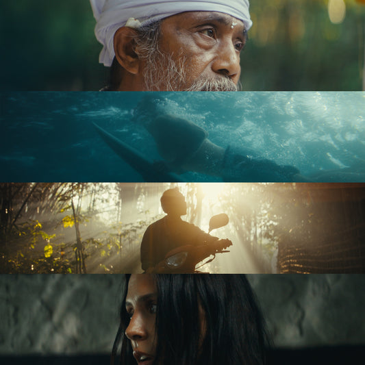 Filmic LUTs by @lucaepifany