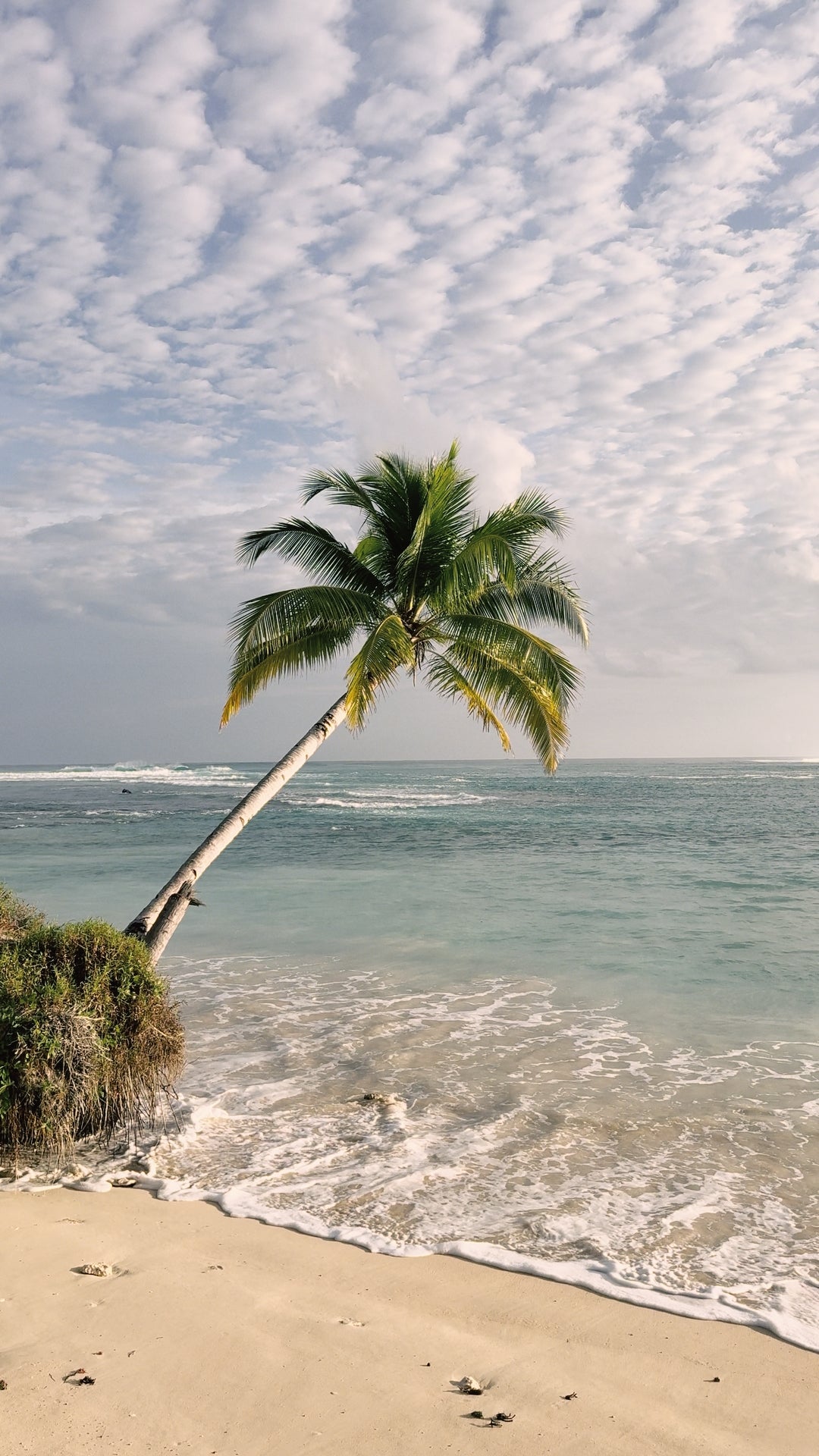 iPhone Cinematic LUTs