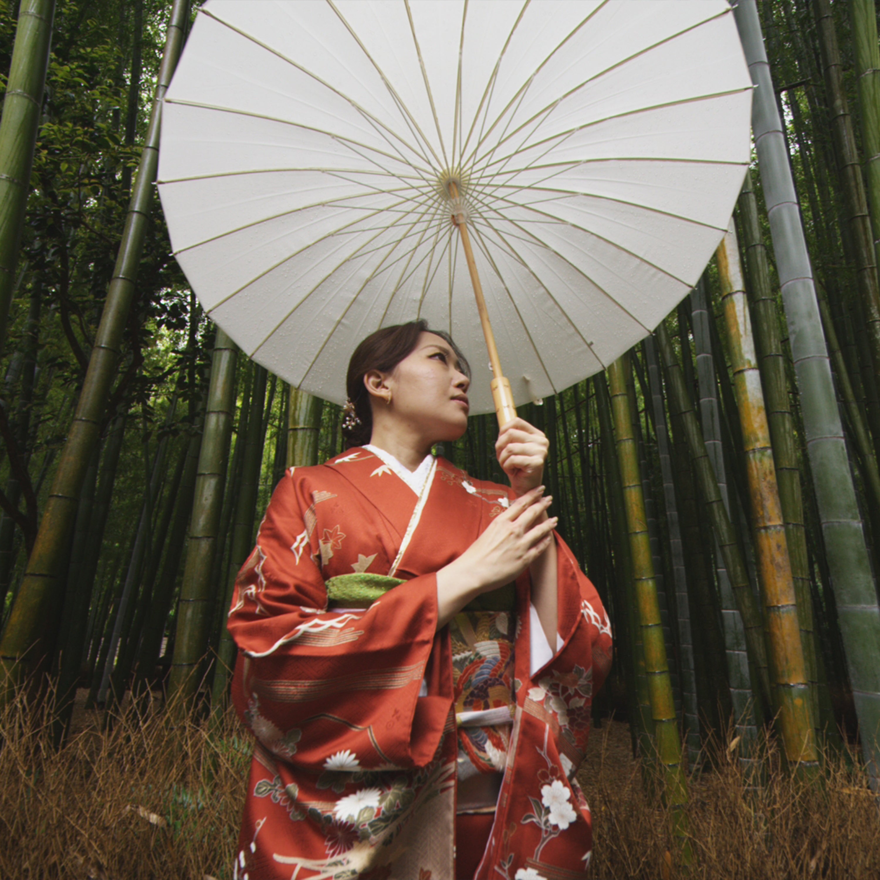 Cinematic LUTs By @lucaepifany